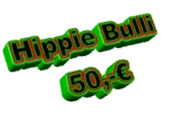 Hippie Bulli 50,-€